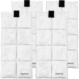 Ergodyne® Chill-Its® 6250 Lightweight Phase Change Cooling PacksSet of 4 Clear 12120 12120