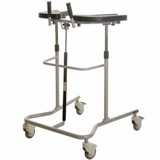 Example of GoVets Support Walkers category