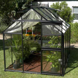 Junior Victorian Greenhouse 10' 2