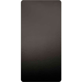 Excel Dryer MICROBAN® Anti-Microbial Wall Guards Black- 89B Pack of 2 89B