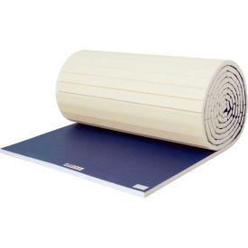 EZ Flex Sport Mats Wrestling Mat 2