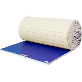 EZ Flex Sport Mats Wrestling Mat 2