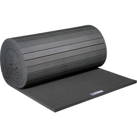 EZ Flex Sport Mats Antimicrobial Fitness Mat 2