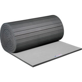 EZ Flex Sport Mats Antimicrobial Fitness Mat 2