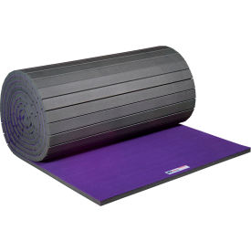 EZ Flex Sport Mats Antimicrobial Fitness Mat 2