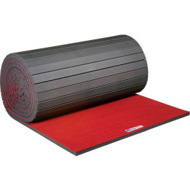 EZ Flex Sport Mats Antimicrobial Fitness Mat 2