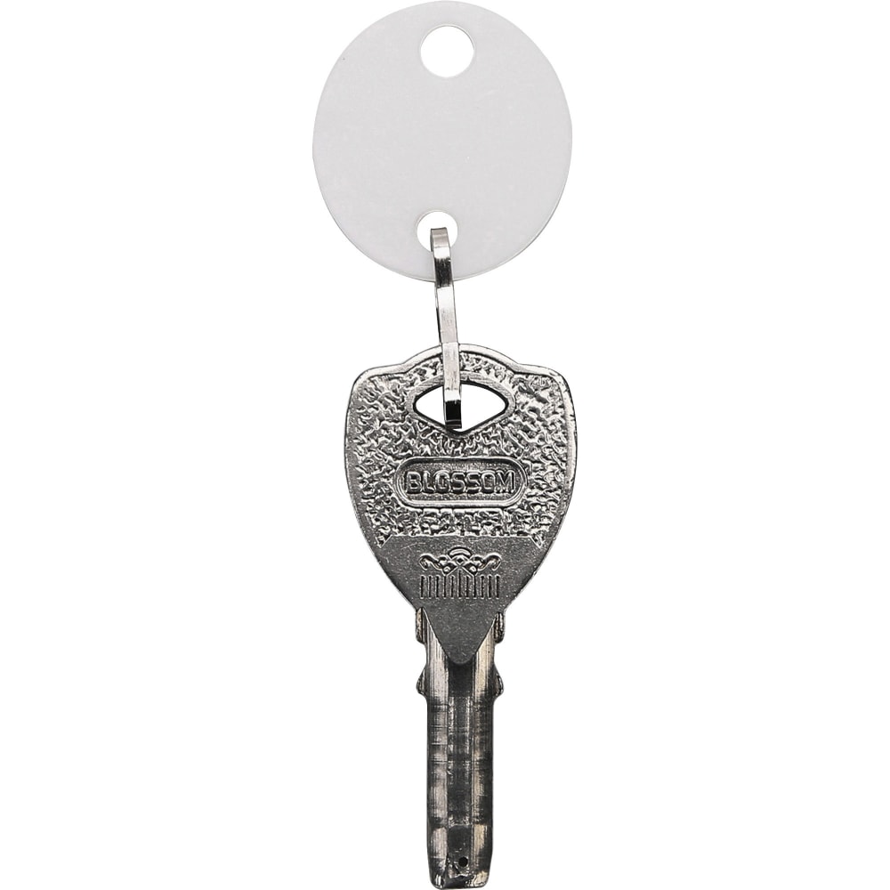 Sparco Oval Key Tags - 0.75in Length x 1.10in Width - Oval - Hook Fastener - Plastic - White - 20 / Pack MPN:02886