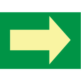 NMC™ Glow Fire Safety Arrow Graphic Sign 6 Hour Glow Vinyl 10