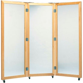 Plate Glass Mirror with Mobile Caster Base 3-Panel 28