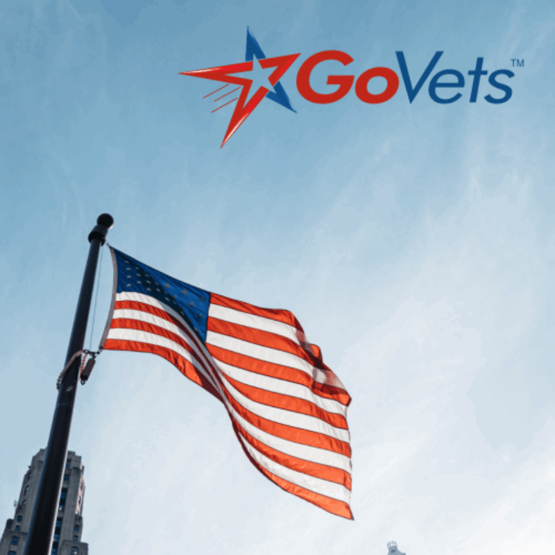 Example of GoVets Fairbanks brand