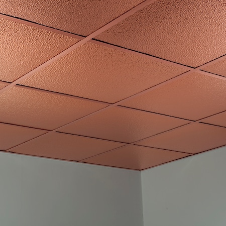Border Fill 2Ftx2Ft Lay In Ceiling, PK 5, 5 PK MPN:PL5925