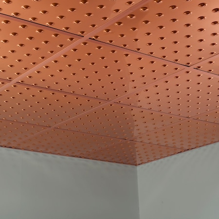 Dome 2Ftx2Ft Lay In Ceiling Tile Po, PK 5, 5 PK MPN:PL6325