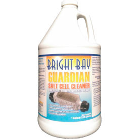 Bright Bay Guardian Salt Cell Cleaner Gallon Bottle 1/Case - P3128 P3128