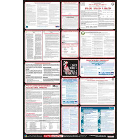 Labor Law Poster - Georgia - Spanish PPG400GA