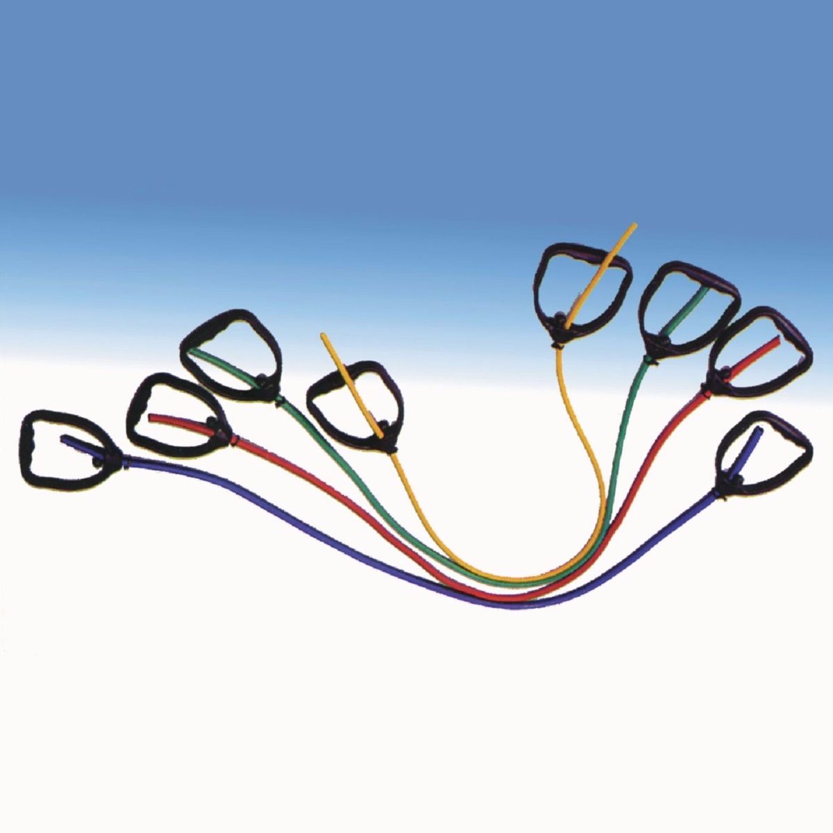 Example of GoVets Handles category