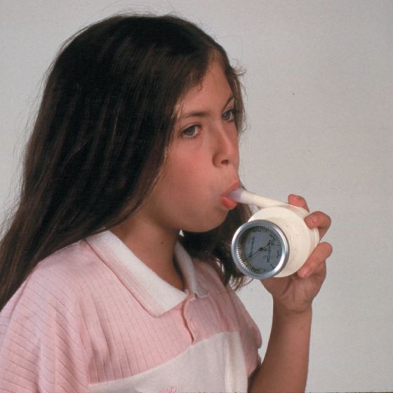 Example of GoVets Peak Flow Meters category