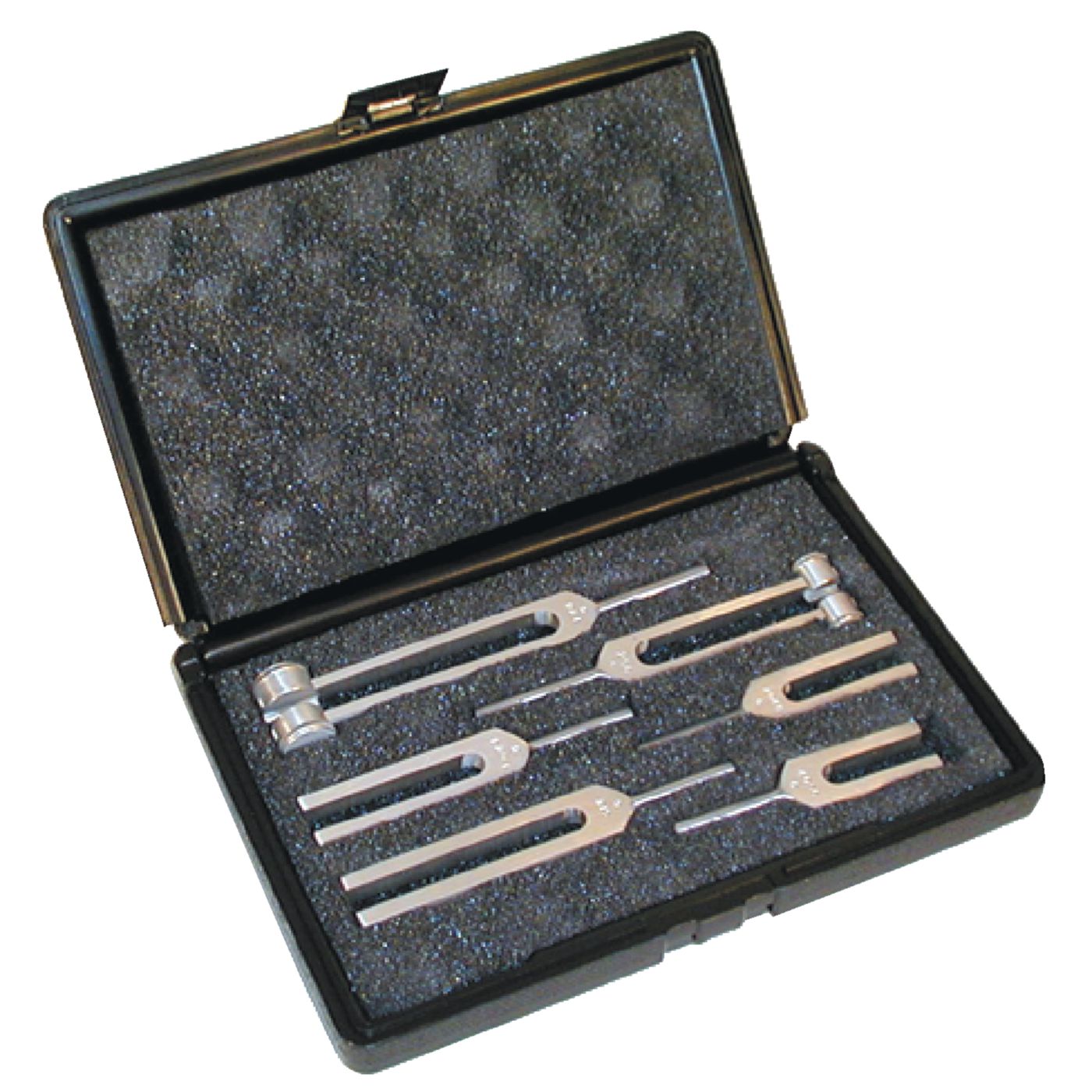 Example of GoVets Tuning Forks category