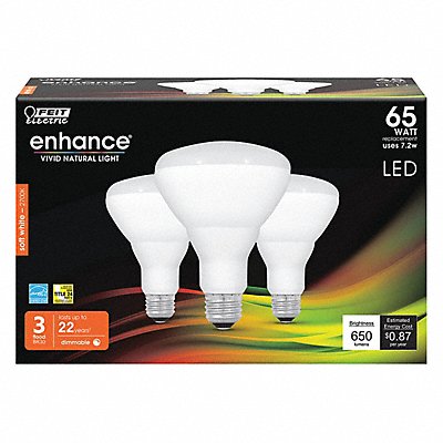 Example of GoVets Feit Electric brand