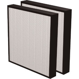 AeraMax® Pro True HEPA Filters 2/Pack 9416602