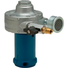 Finish Thompson A101125 Air Motor - 3/4 HP - 100 PSI A101125