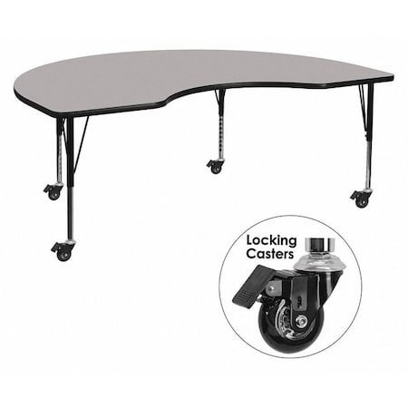 Kidney Activity Table, 48