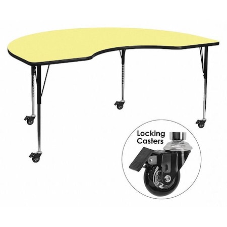 Kidney Activity Table, 48
