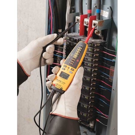 Example of GoVets Fluke category