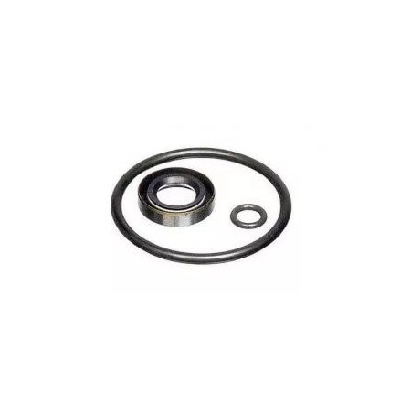 VITON SEAL KIT, P5515-V MPN:P5515SK-V