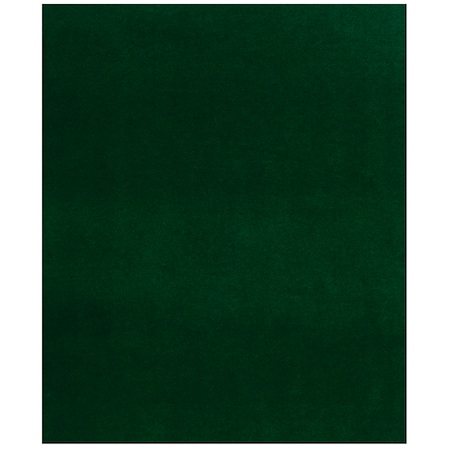Tee Time Green Indoor/Outdoor Rug 6FTx8FT MPN:7A25N11PJ1VH