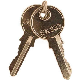 RIB® Replacement Keys KEYSET Set Of Two For Key Latched Metal Housings KEYSET