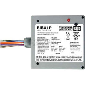 RIB® Enclosed Power Relay RIB01P 20A DPDT 120VAC RIB01P