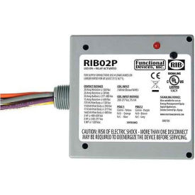 RIB® Enclosed Power Relay RIB02P 20A DPDT 208-277VAC RIB02P