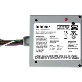 RIB® Enclosed Power Relay RIB04P 20A DPDT 480VAC RIB04P