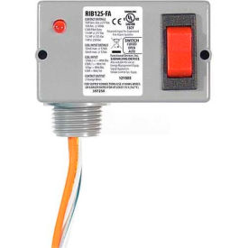 RIB® Enclosed Polarized Relay RIB12S-FA 10A SPST 12VAC/VDC Override Switch RIB12S-FA
