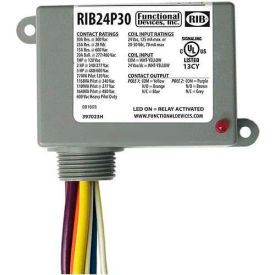RIB® Enclosed Power Relay RIB24P30 30A DPDT 24VAC/DC RIB24P30
