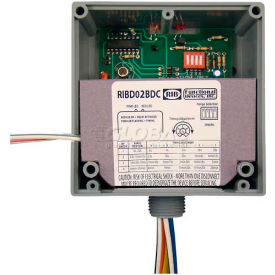 RIB® Dry Contact Input Relay RIBD02BDC Enclosed Time Delay 208-277VAC 20A SPDT RIBD02BDC