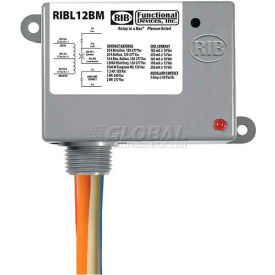 RIB® Enclosed Latching Relay RIBL12BM 20A 12VAC/DC W/Aux Contact RIBL12BM