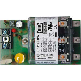 RIB® Panel Relay RIBM013PN 4