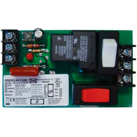 RIB® Panel Relay RIBM2401SBC 4