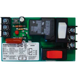 RIB® Panel Relay RIBM2402SBC 4