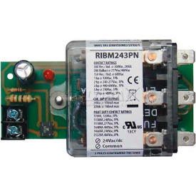 RIB® Panel Relay RIBM243PN 4