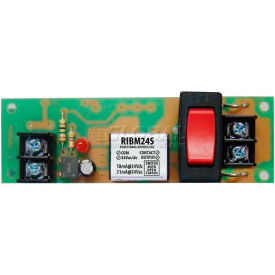 RIB® Track Mount Relay RIBM24S 4