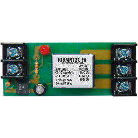 RIB® Enclosed Polarized Track Mount Relay RIBMN12C-FA 2.75