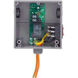 RIB® Enclosed Relay RIBT24SB Hi/Low Sep. 20A SPST 24VAC/DC Override RIBT24SB