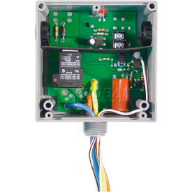 RIB® Enclosed Relay RIBTE02B Hi/Low Sep 20A SPDT 208-277VAC Power 5-30VAC/DC Control RIBTE02B