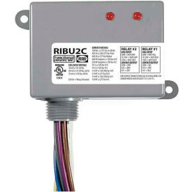 RIB® Enclosed Relays RIBU2C 10A 2 SPDT 10-30VAC/DC/120VAC RIBU2C