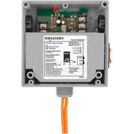 RIB® Enclosed Internal AC Sensor W/Relay RIBX24SBV Analog 20A SPST 24VAC/DC Override RIBX24SBV