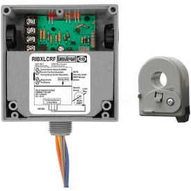 RIB® Enclosed Solid-Core AC Sensor W/Relay RIBXLCRF Fixed 10A SPDT 10-30VAC/DC RIBXLCRF