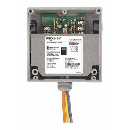 Enclosed Relay/Analog Current, 20A MPN:RIBX24BV