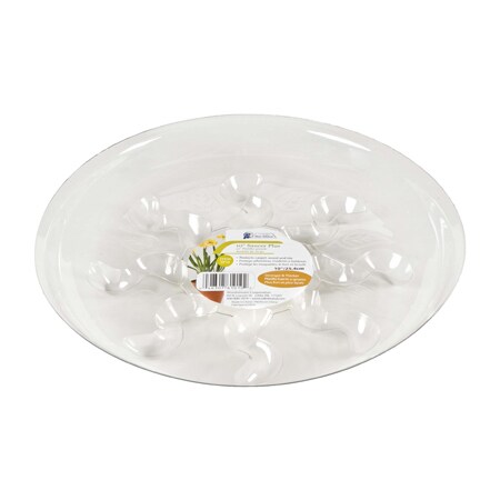 Saucer Plus, 6